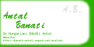 antal banati business card